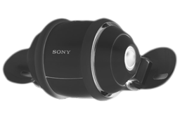 Rolly - open - Negativ - 256
